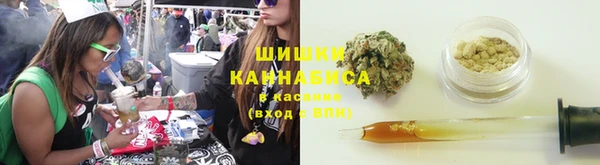 ГАЛЛЮЦИНОГЕННЫЕ ГРИБЫ Медногорск