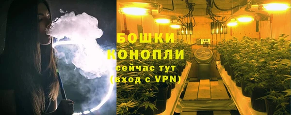 ГАЛЛЮЦИНОГЕННЫЕ ГРИБЫ Медногорск