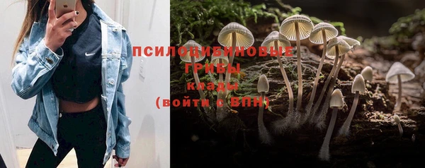 ALPHA PVP Медвежьегорск